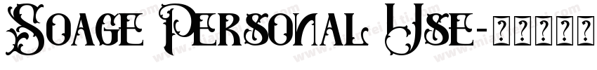 Soage Personal Use字体转换